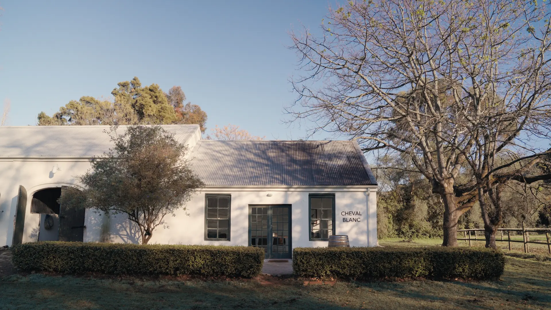 The white Cheval Blanc cottage at Banhoek Stud in early winter light