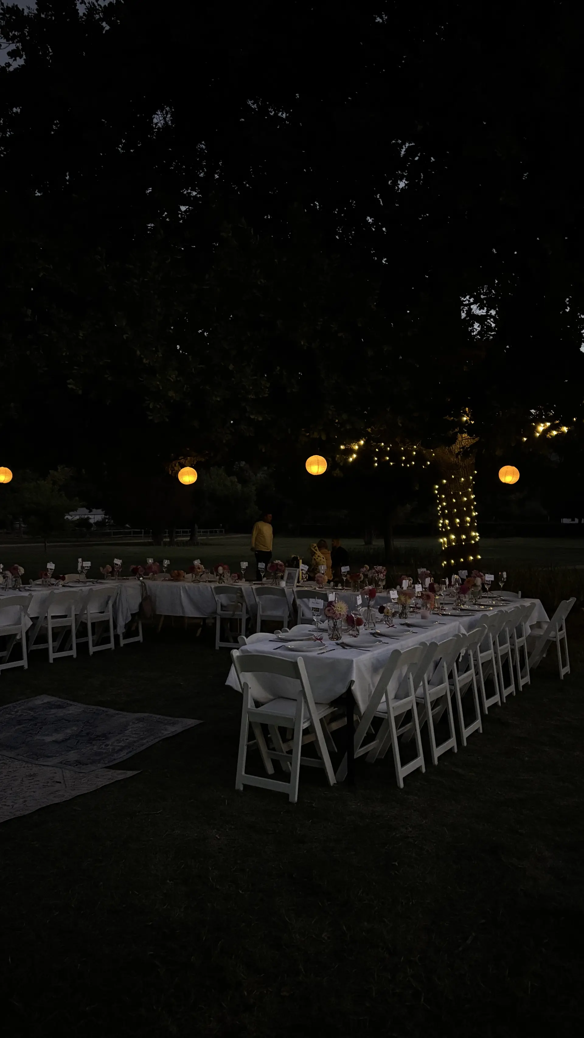 An evening celebration at Banhoek Stud with long tables set under trees and glowing lanterns