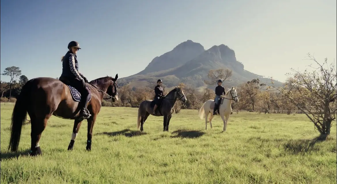 Three riders on horseback on the event lawn at Banhoek Stud, with the Banhoek mountains behind