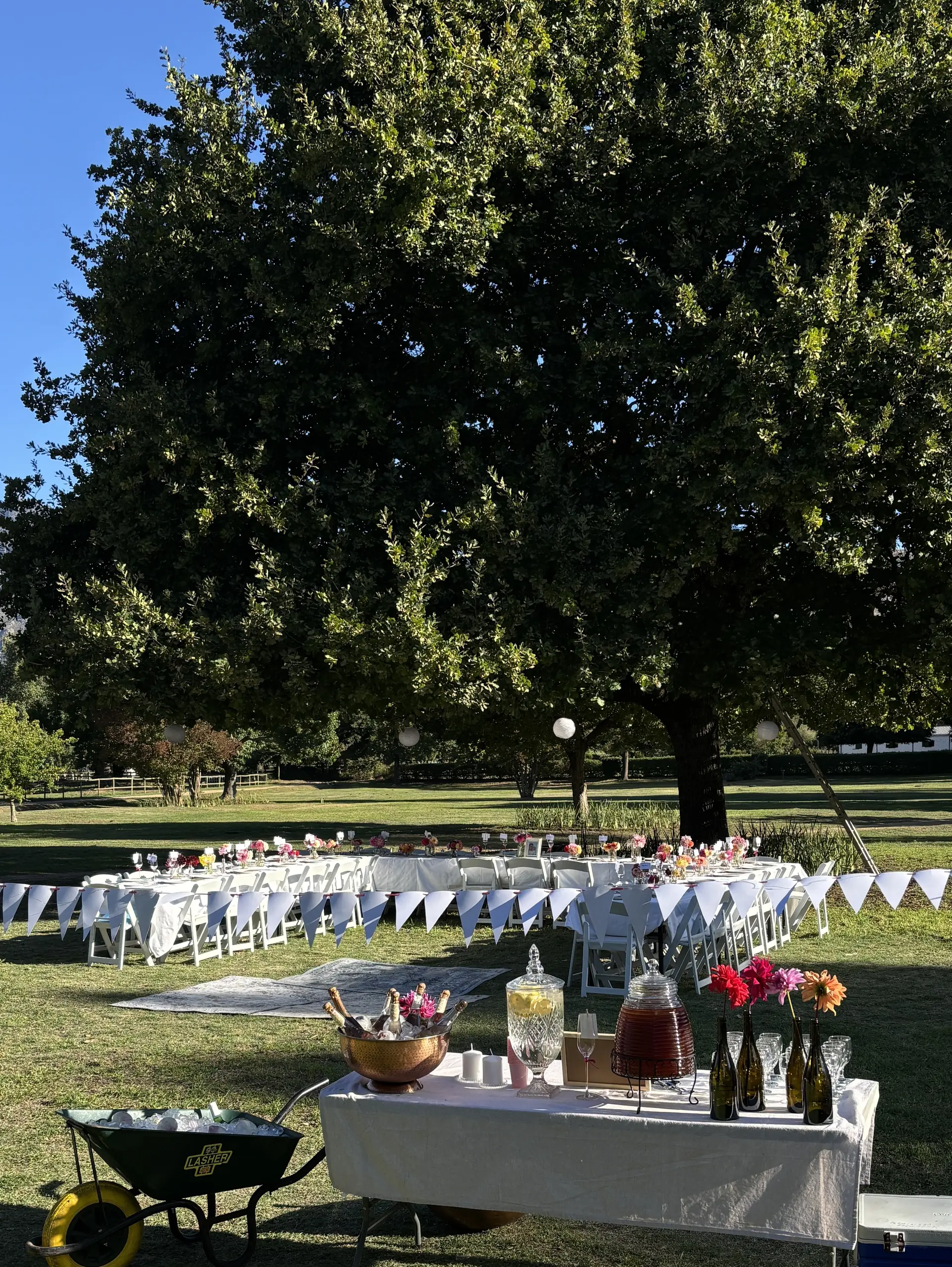 Long dining tables dressed in white under a great oak tree on the Banhoek Stud event lawn