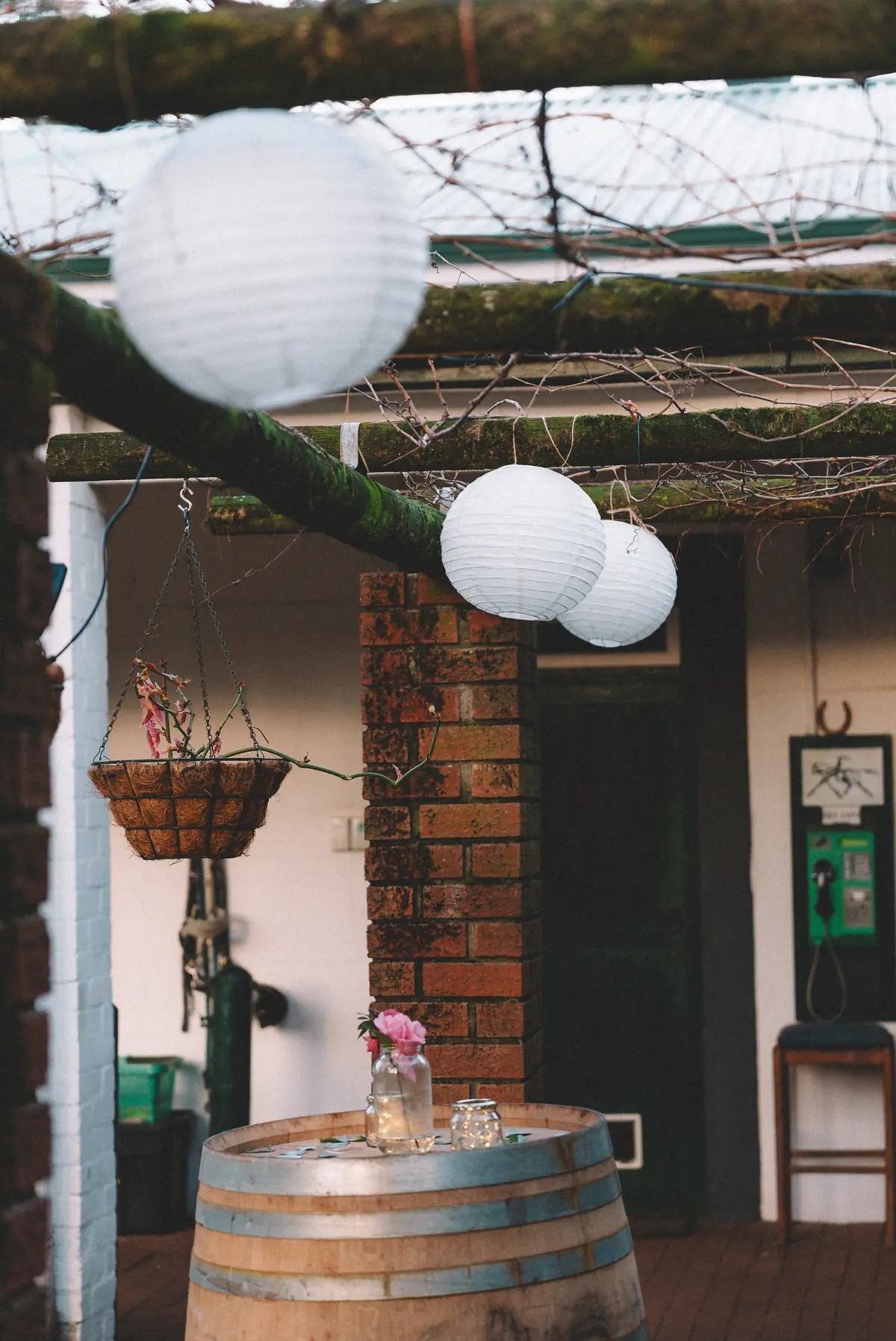 White paper lanterns strung along the vine-covered pergola at Banhoek Stud, above a wine barrel used as a drinks table