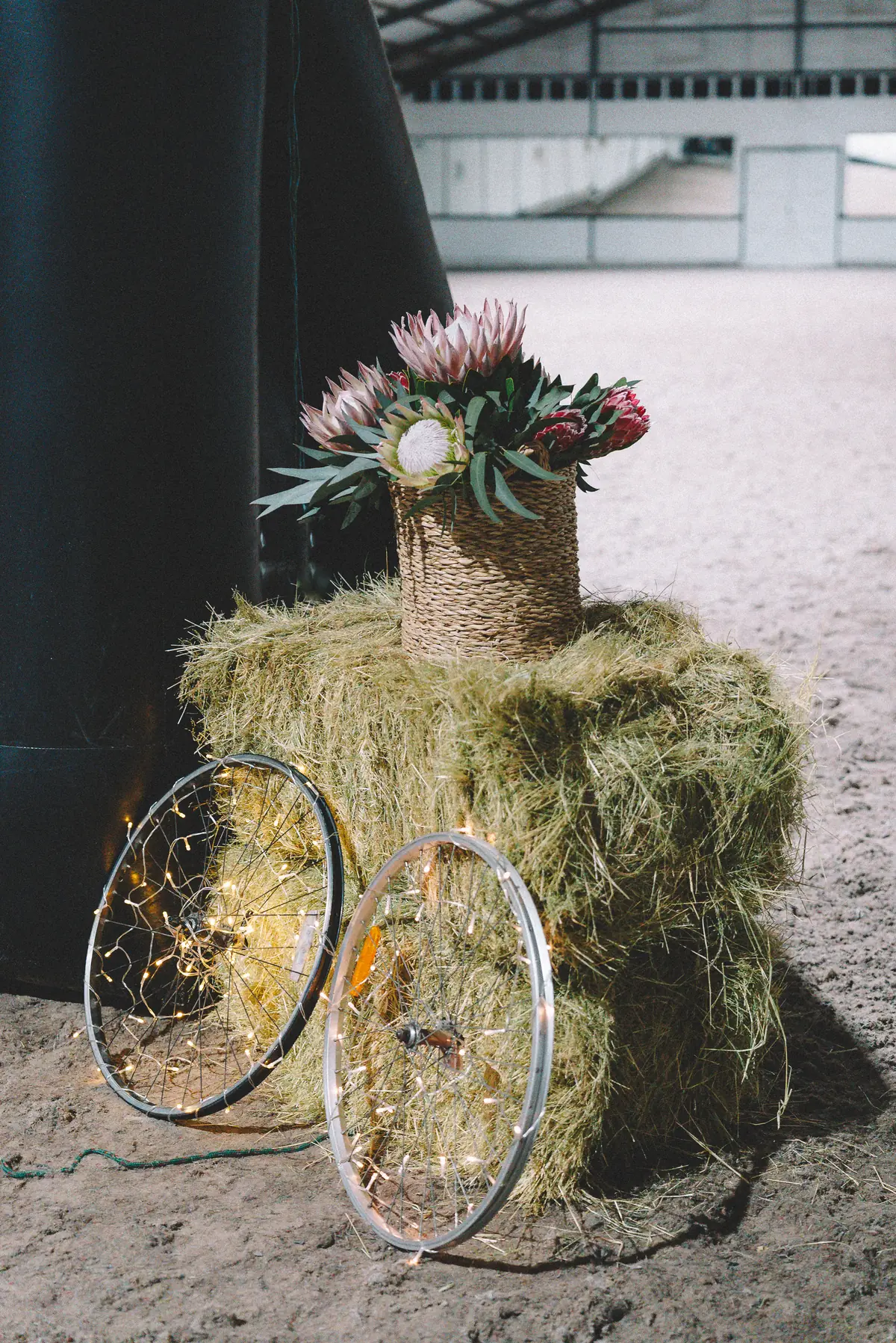 Proteas and fynbos in a woven basket on a hay bale, with fairy-lit bicycle wheels leaning against it in the arena