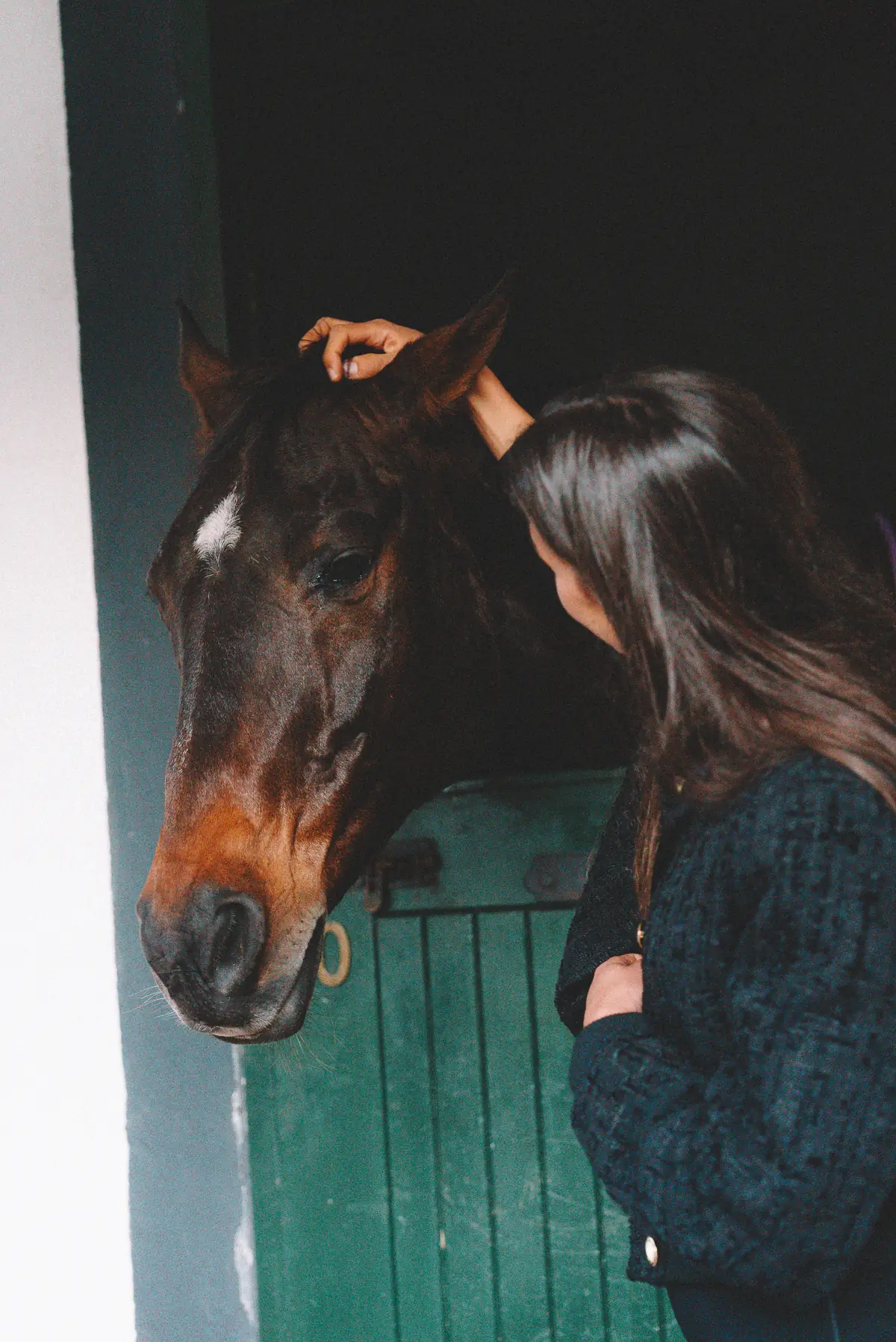 A guest reaching up to greet a bay horse over its green stable door at Banhoek Stud