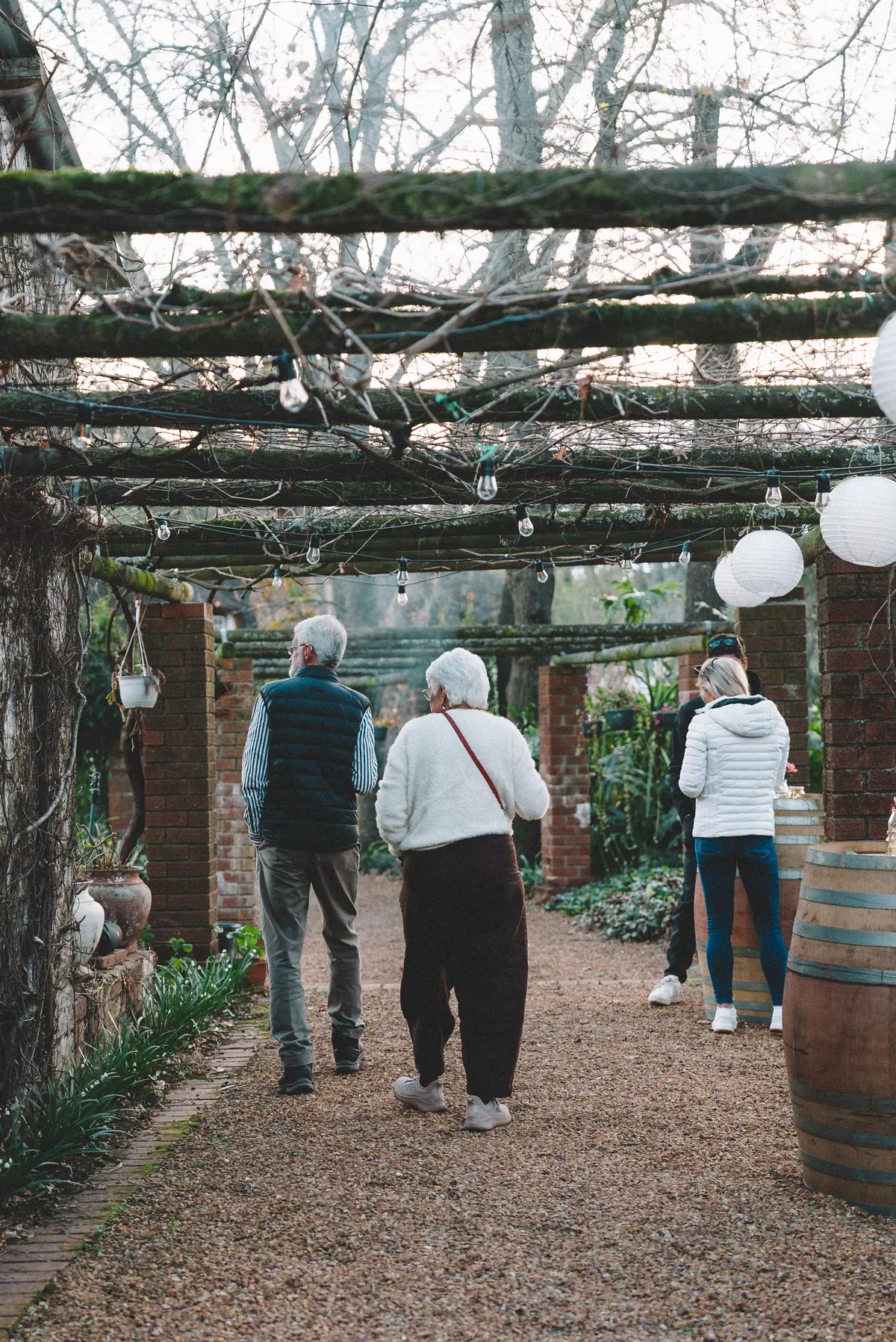 Guests walking the lantern-hung pergola walkway at Banhoek Stud towards the arena