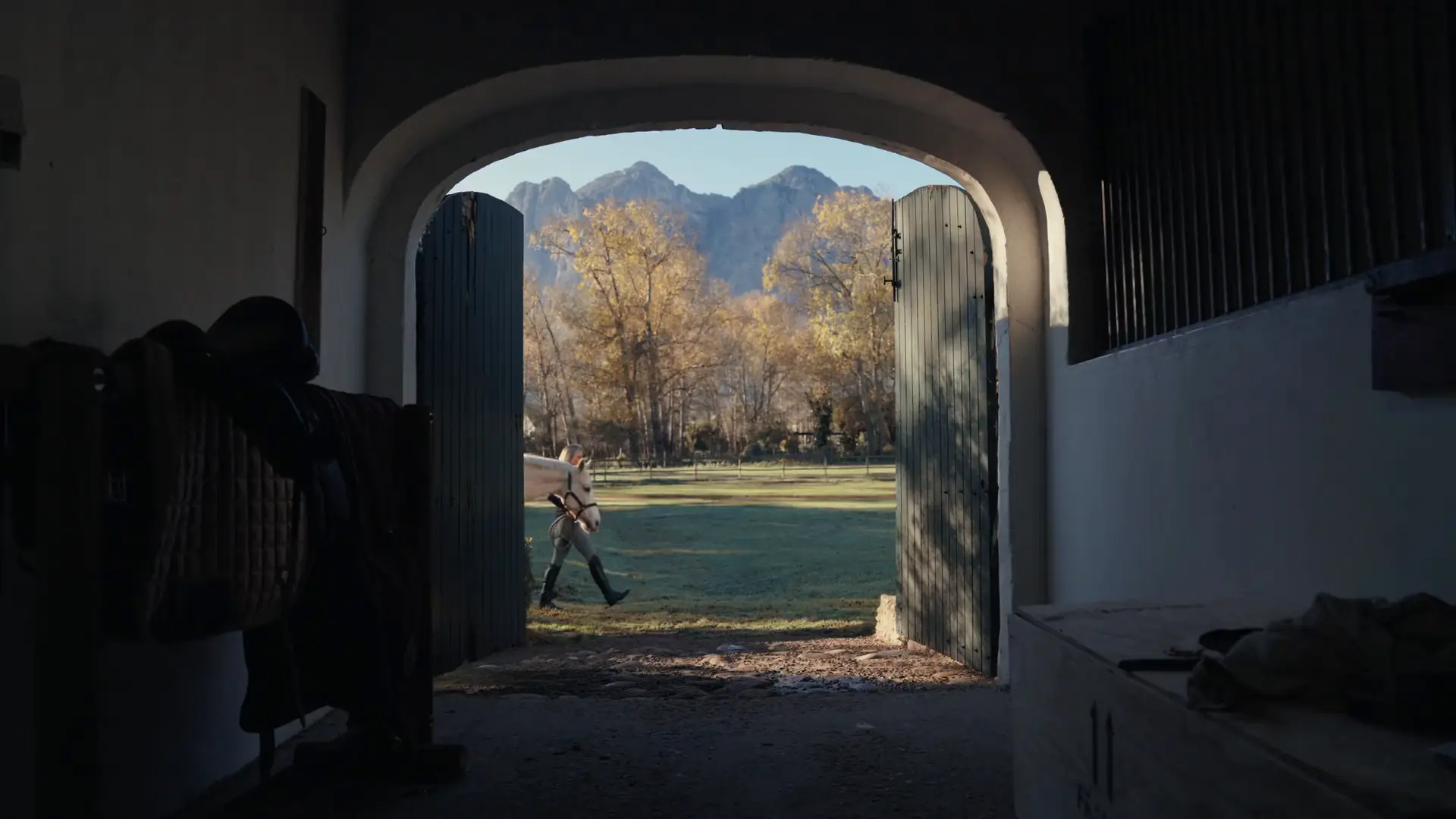 The view out of the Banhoek Stud stable block through its arched doorway to the sunlit paddocks and mountains