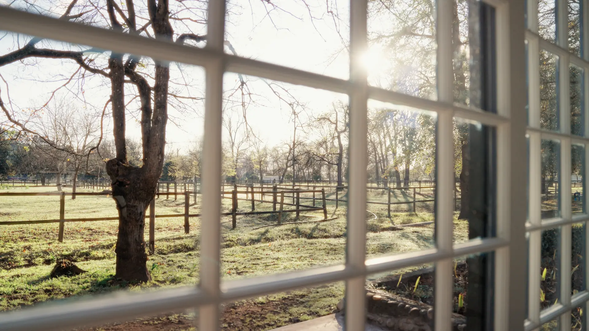 Morning sun over the post-and-rail paddocks at Banhoek Stud, seen through a cottage window